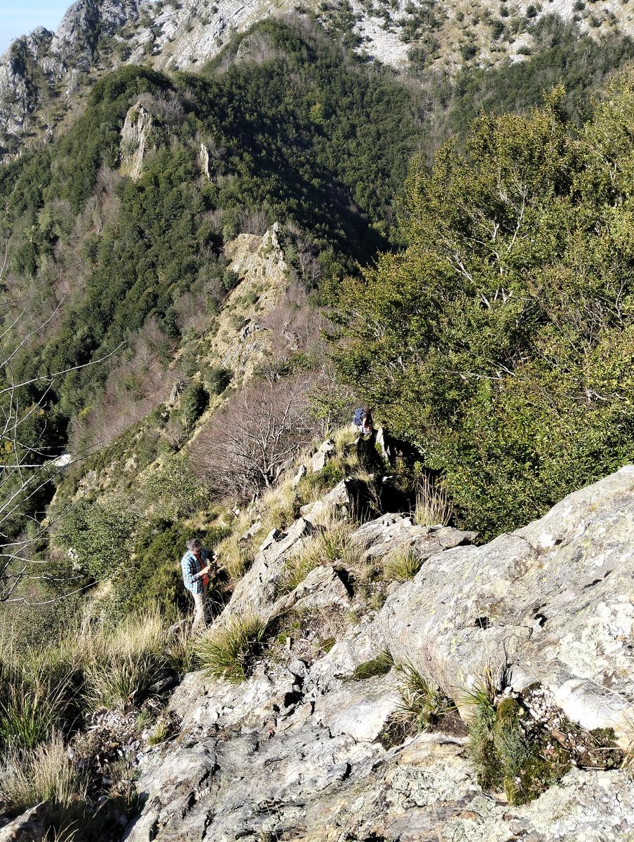 Anello del Monte dei Ronchi, Monte delle Tavole e Monte Altissimo dalle Cave del Cipollaio - foto 4