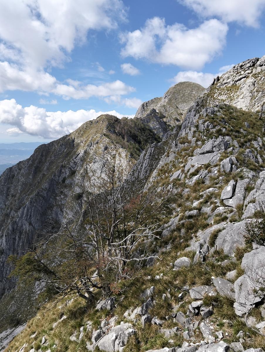 Anello del Monte dei Ronchi, Monte delle Tavole e Monte Altissimo dalle Cave del Cipollaio - foto 6