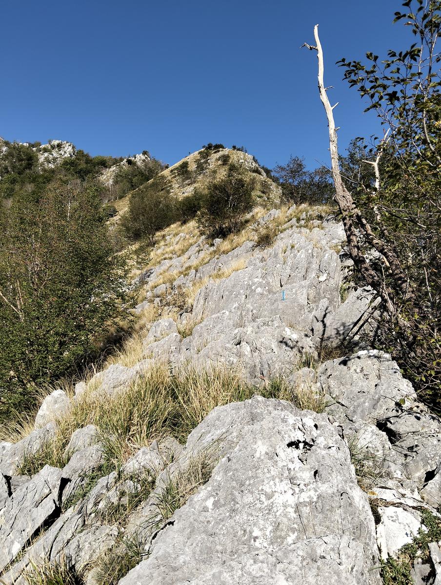 Anello del Monte dei Ronchi, Monte delle Tavole e Monte Altissimo dalle Cave del Cipollaio - foto 12