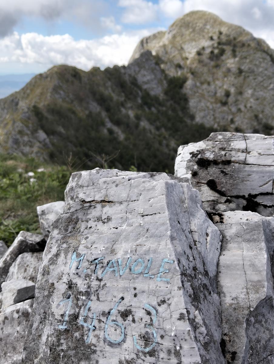 Anello del Monte dei Ronchi, Monte delle Tavole e Monte Altissimo dalle Cave del Cipollaio - foto 14
