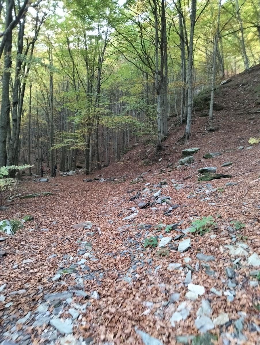 Monte Cavallo da Rifugio Val Serenaia (Apuane) - foto 17