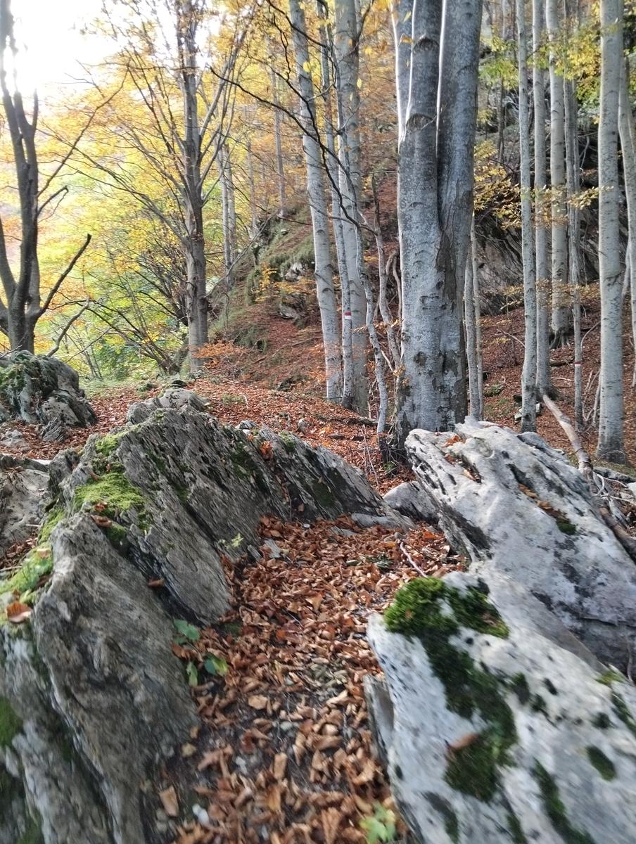 Monte Cavallo da Rifugio Val Serenaia (Apuane) - foto 18