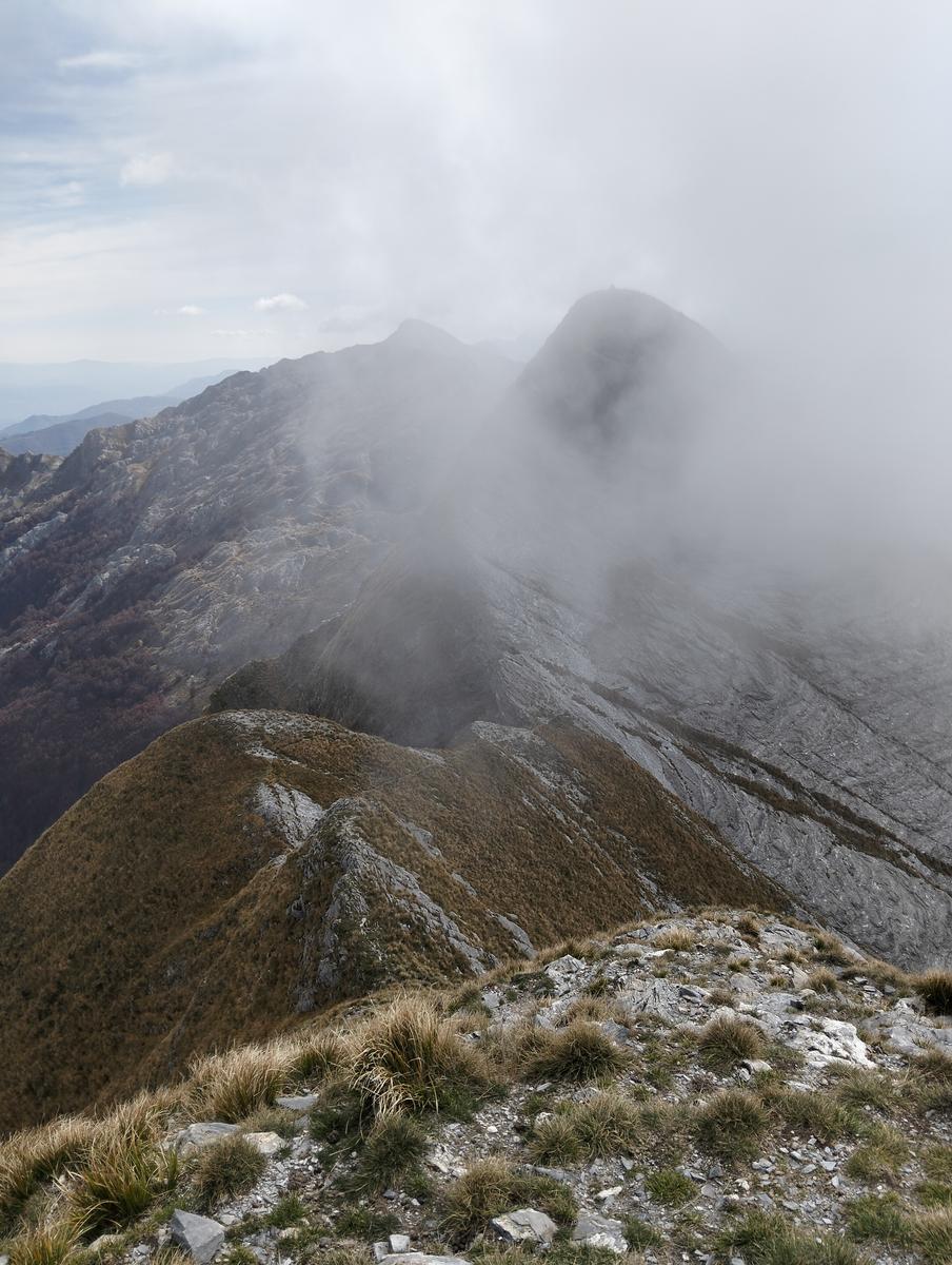 Monte Cavallo da Rifugio Val Serenaia (Apuane) - foto 20