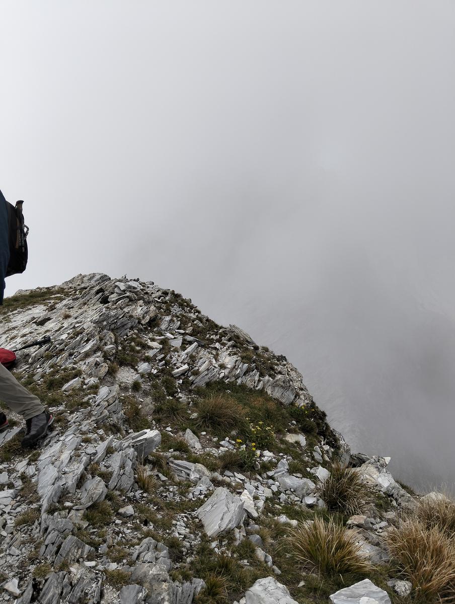 Monte Cavallo da Rifugio Val Serenaia (Apuane) - foto 21