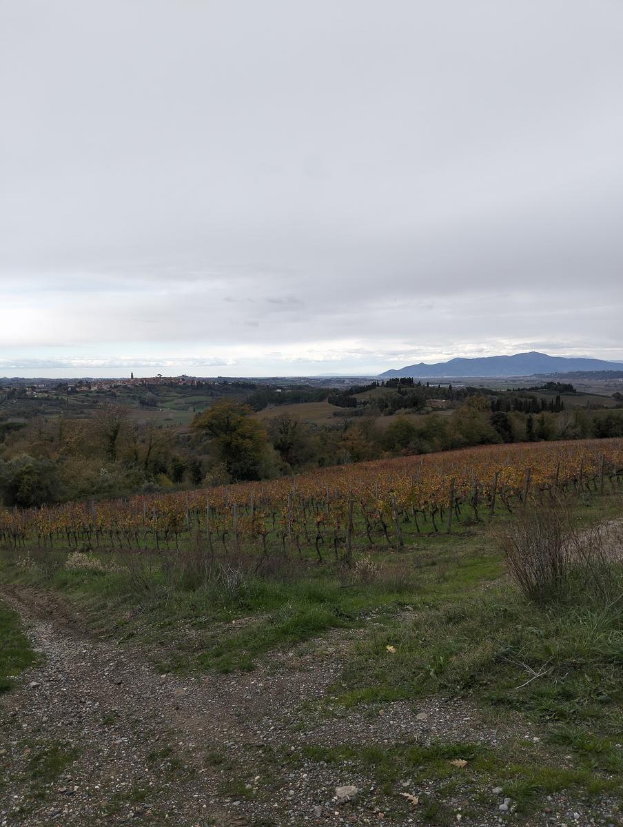 Madonna delle Serre e Pieve di San verano da Peccioli - foto 6