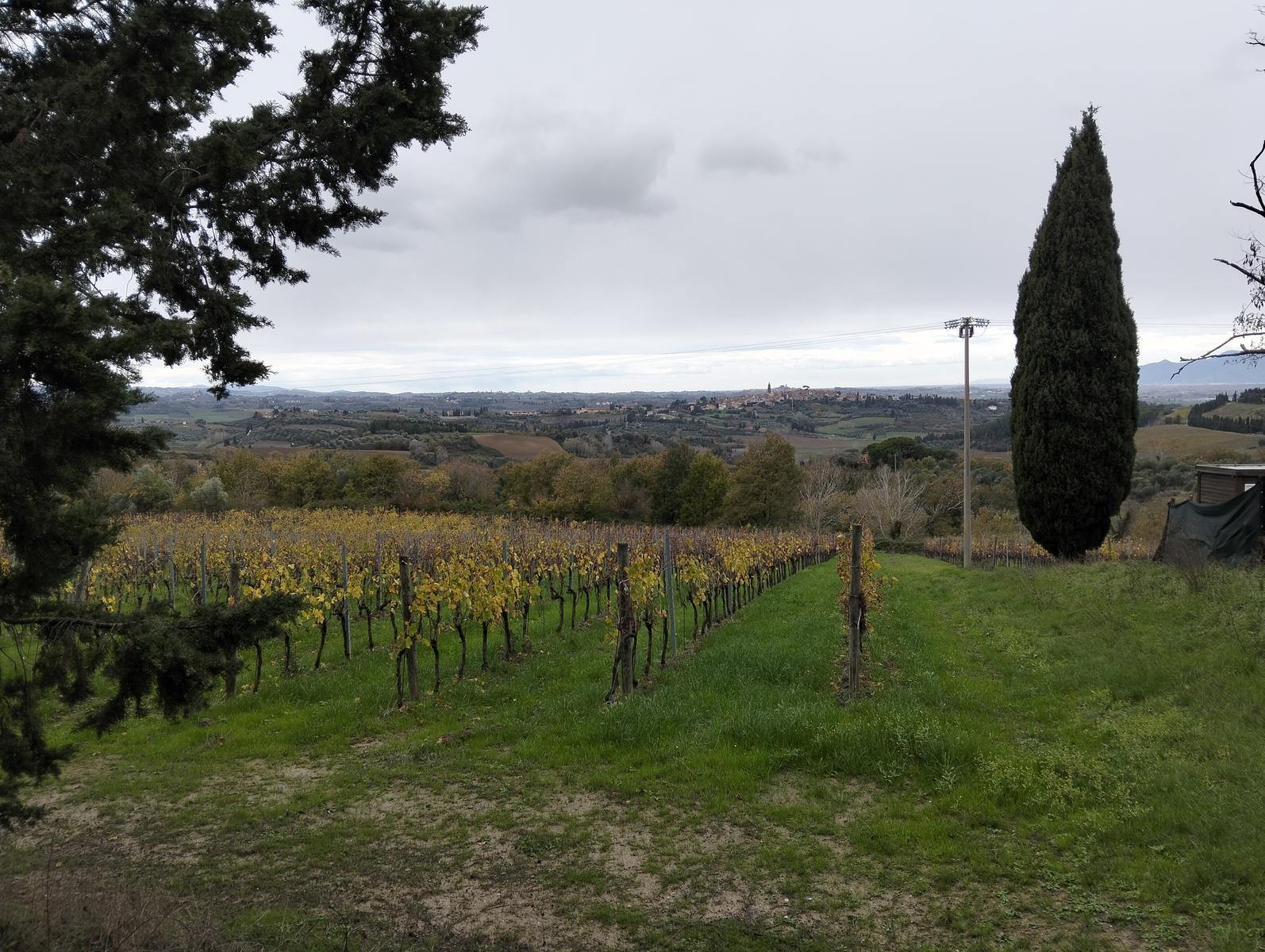 Madonna delle Serre e Pieve di San verano da Peccioli - foto 8