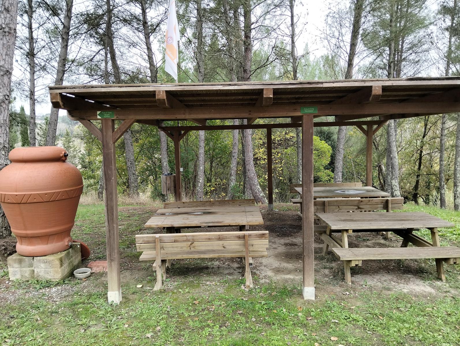 Madonna delle Serre e Pieve di San verano da Peccioli - foto 10