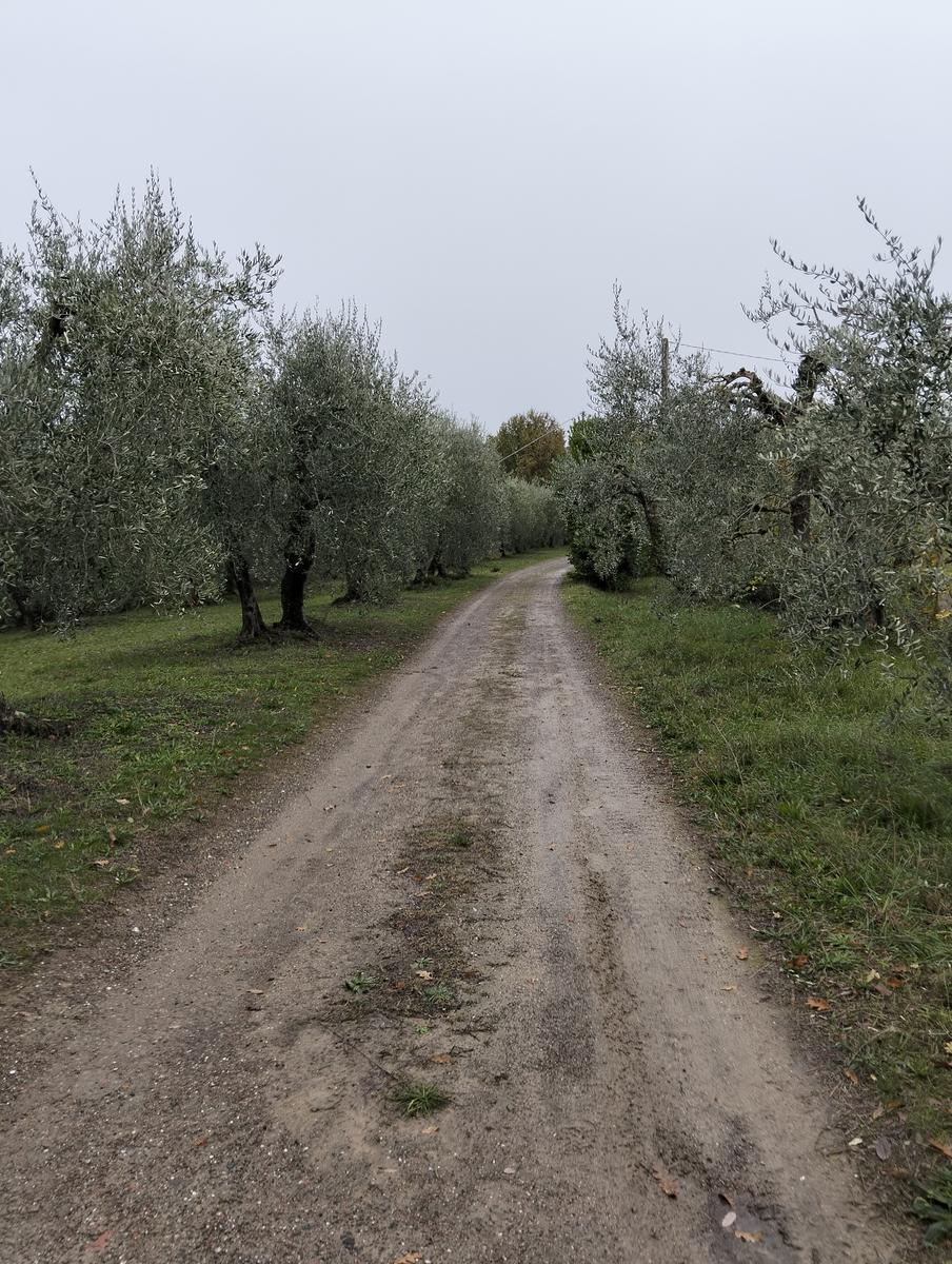 Madonna delle Serre e Pieve di San verano da Peccioli - foto 12