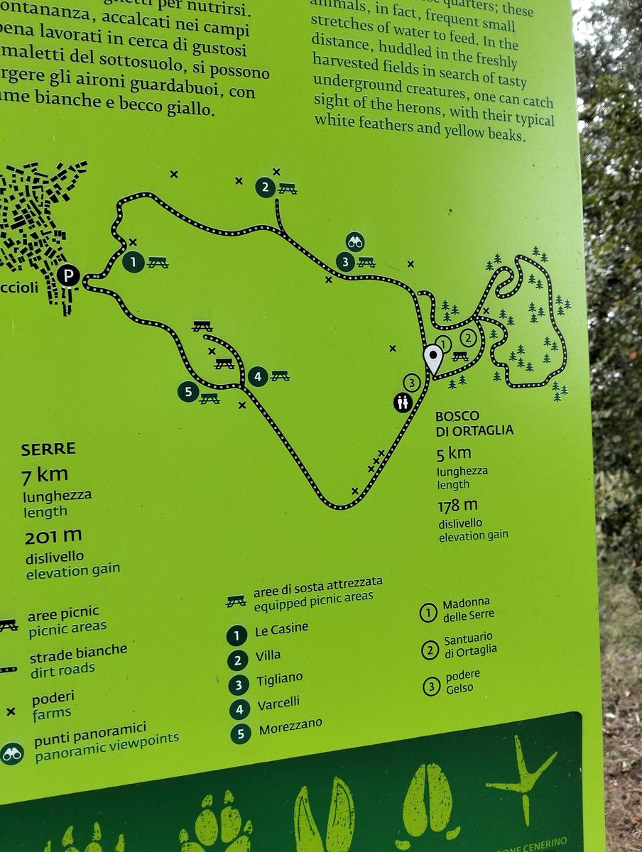 Madonna delle Serre e Pieve di San verano da Peccioli - foto 14