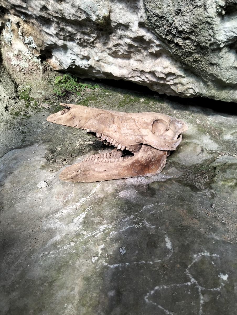 Chiesa Di San Rocco, Grotta all'onda e Grotta di penna buia da Casoli - foto 15