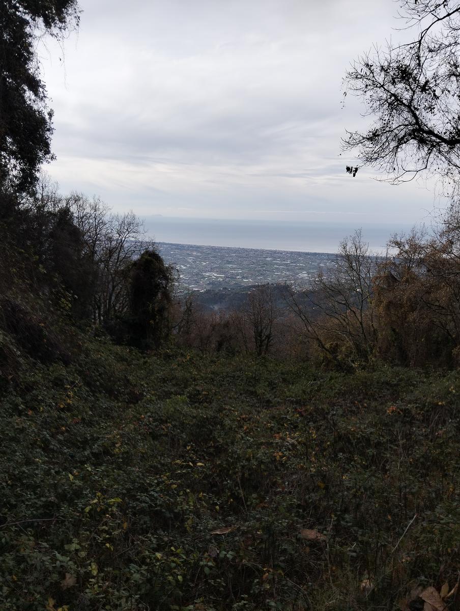 Roccia dei Pennati, Monte Gabberi e Monte Gevoli da Greppolungo - foto 2