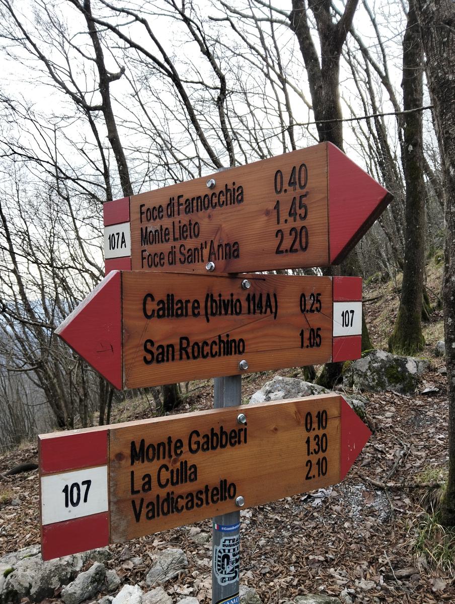Roccia dei Pennati, Monte Gabberi e Monte Gevoli da Greppolungo - foto 5