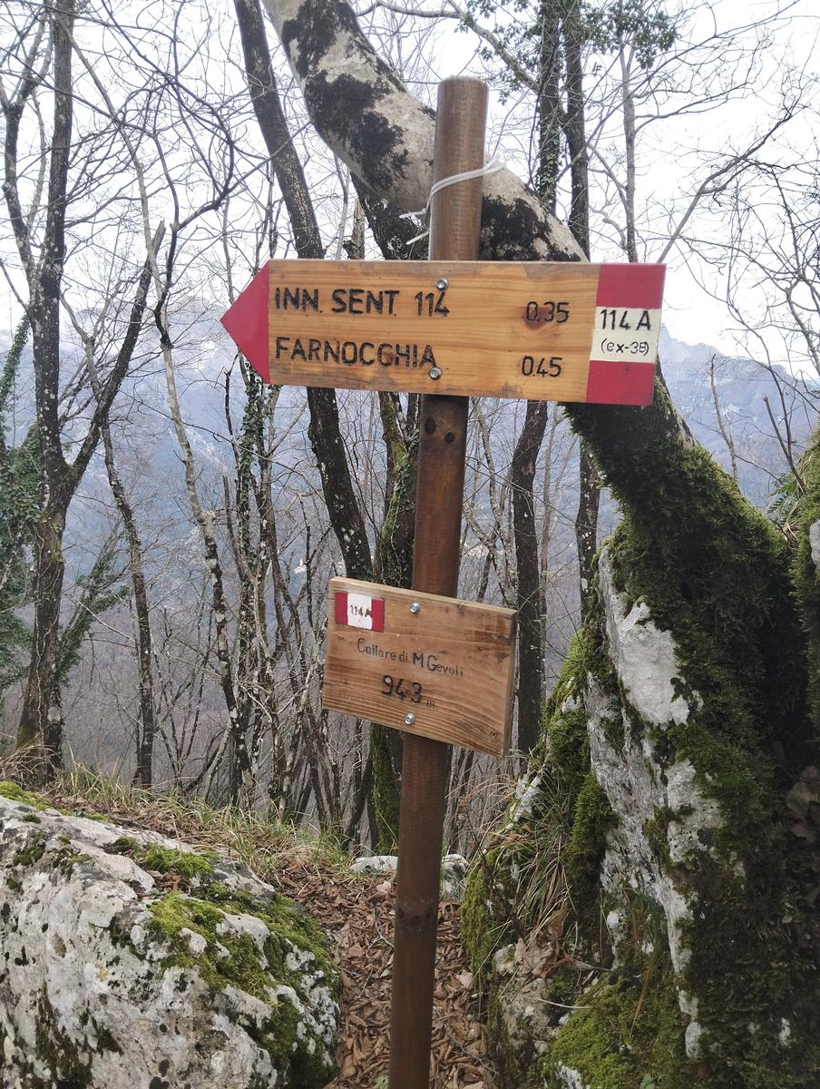 Roccia dei Pennati, Monte Gabberi e Monte Gevoli da Greppolungo - foto 9