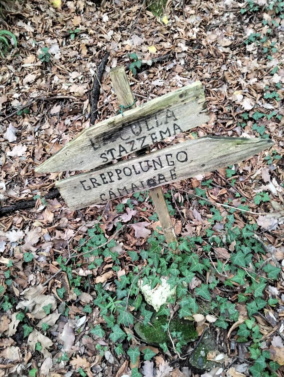 Roccia dei Pennati, Monte Gabberi e Monte Gevoli da Greppolungo - foto 11