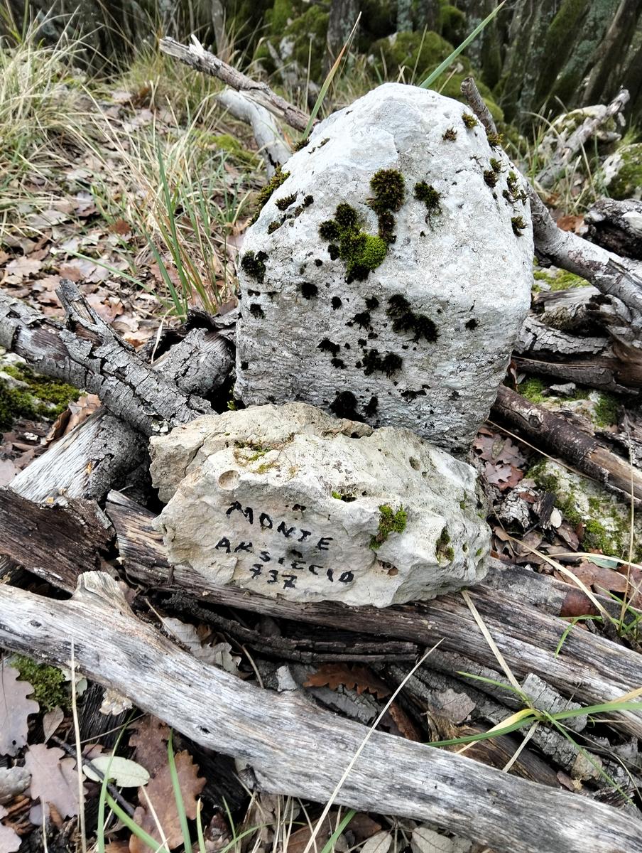 Roccia dei Pennati, Monte Gabberi e Monte Gevoli da Greppolungo - foto 18