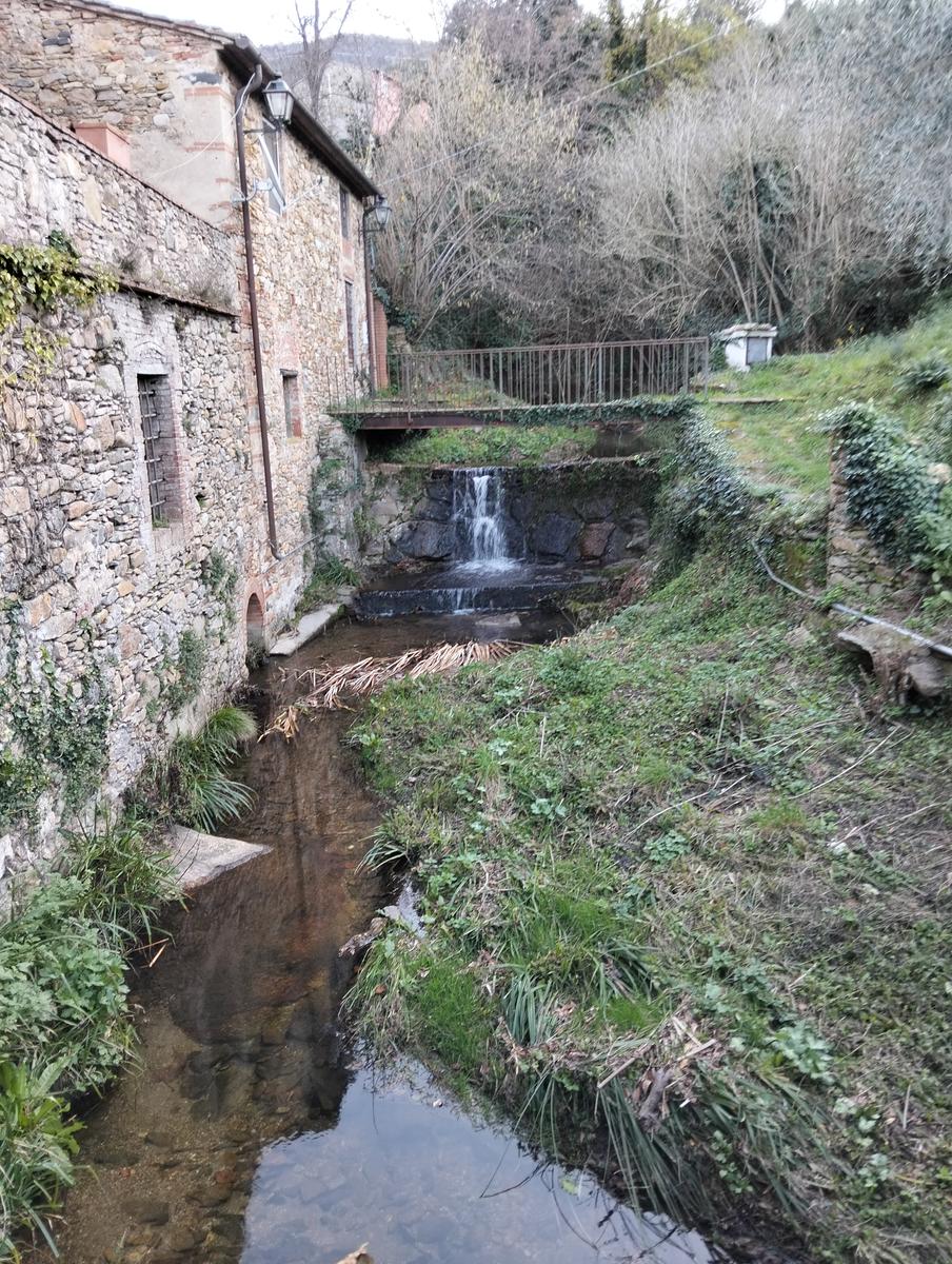 Tra borghi e panorami: da Calci a Montemagno tra natura e convivialità - foto 2