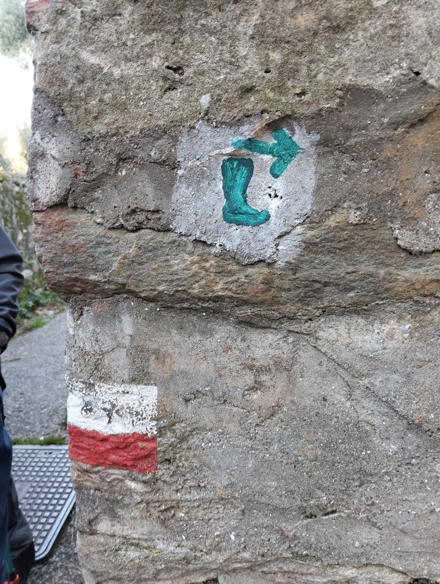 Tra borghi e panorami: da Calci a Montemagno tra natura e convivialità - foto 3