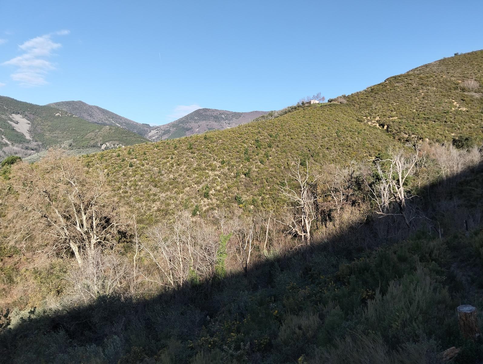Tra borghi e panorami: da Calci a Montemagno tra natura e convivialità - foto 6