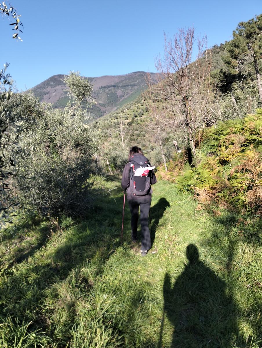 Tra borghi e panorami: da Calci a Montemagno tra natura e convivialità - foto 11