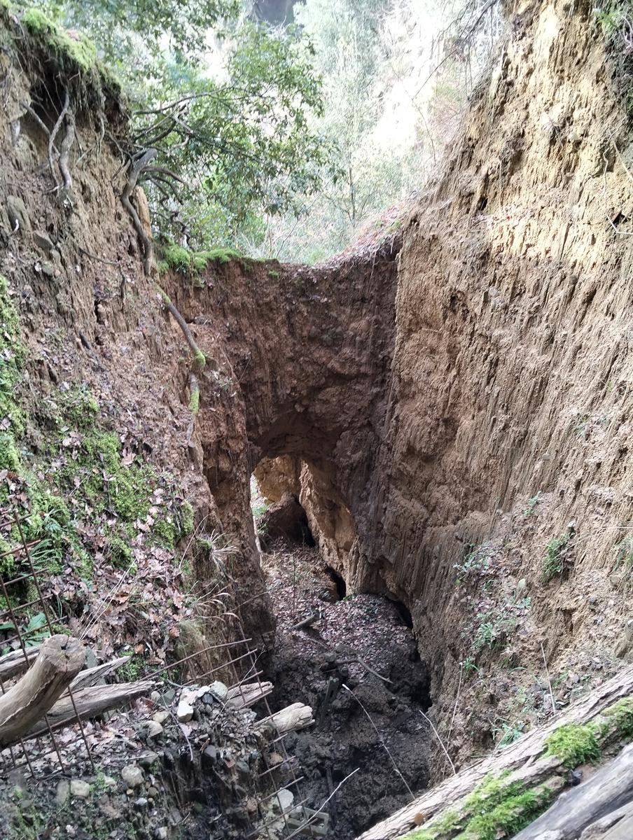 Sequoie, Sequoia gemella e Castello di Sammezzano da Leccio