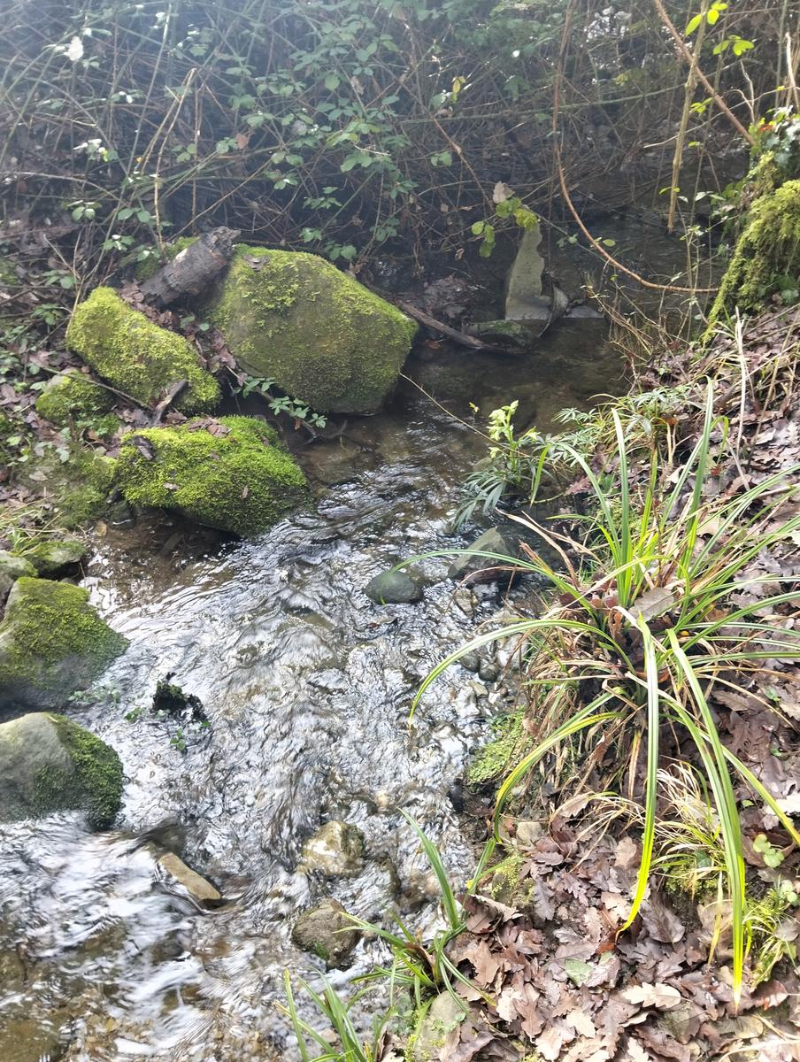 Sequoie, Sequoia gemella e Castello di Sammezzano da Leccio - foto 2
