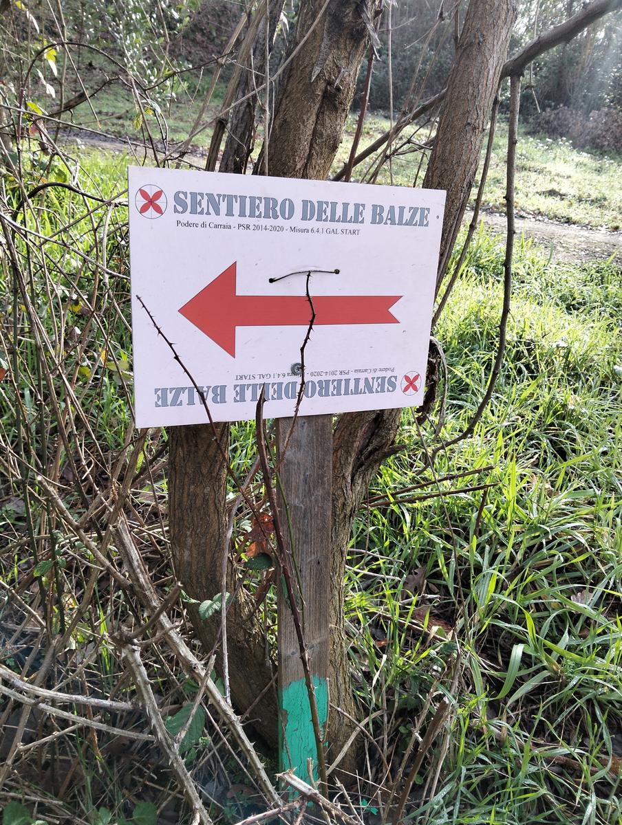 Sequoie, Sequoia gemella e Castello di Sammezzano da Leccio - foto 5