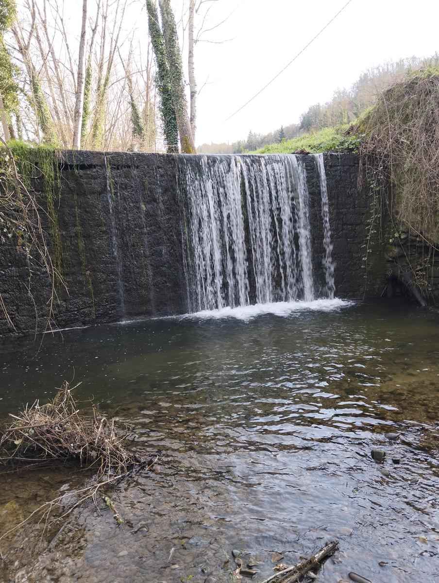 Sequoie, Sequoia gemella e Castello di Sammezzano da Leccio - foto 9