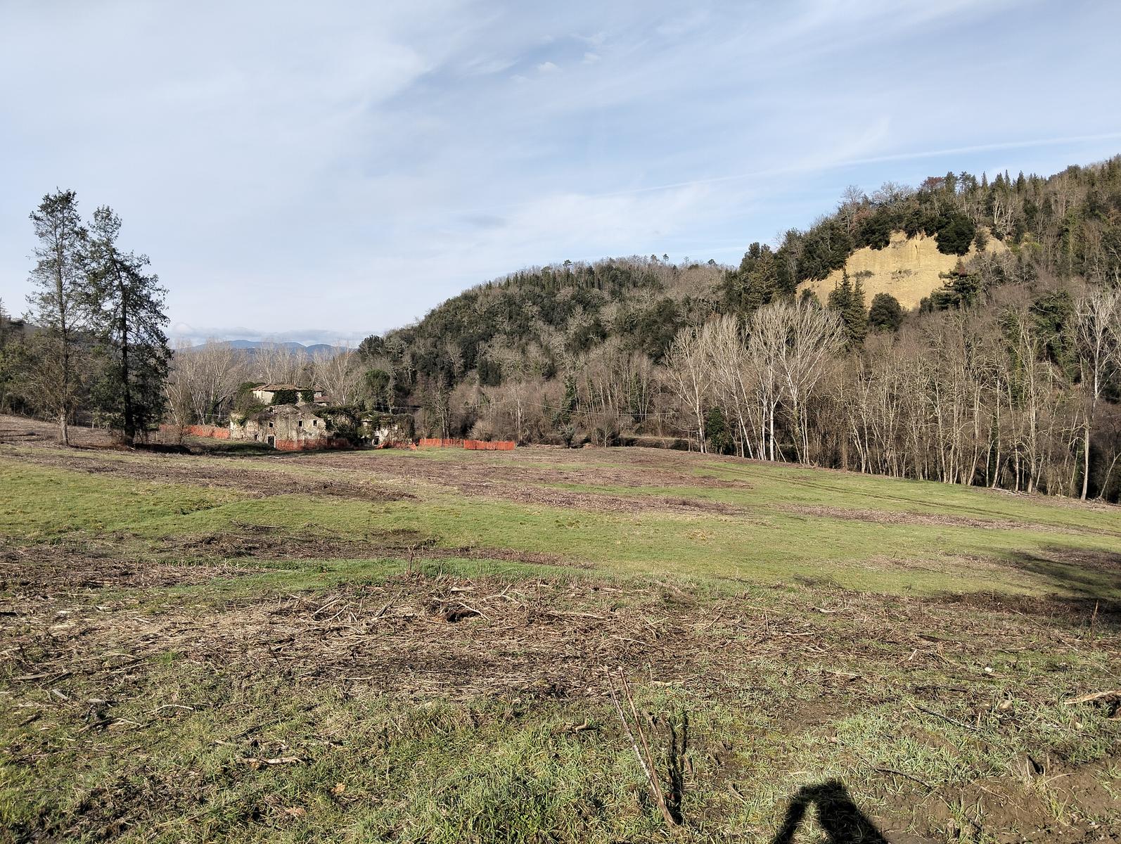 Sequoie, Sequoia gemella e Castello di Sammezzano da Leccio - foto 10