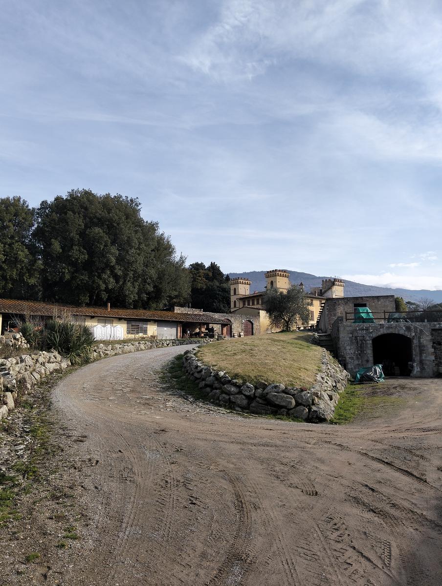 Sequoie, Sequoia gemella e Castello di Sammezzano da Leccio - foto 13