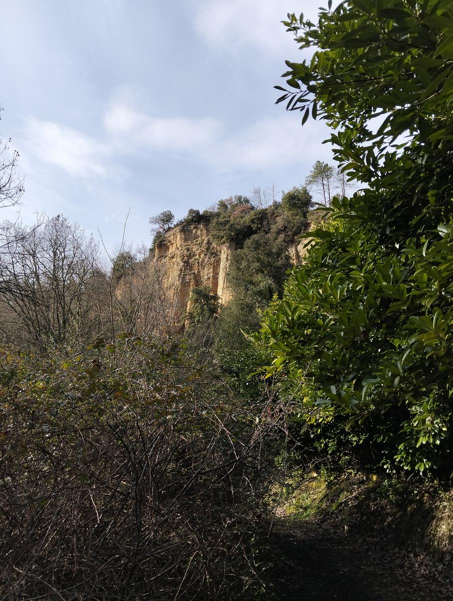 Sequoie, Sequoia gemella e Castello di Sammezzano da Leccio - foto 16