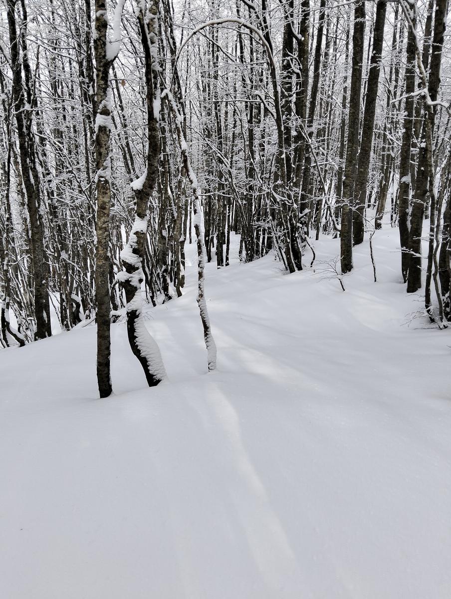 Ciaspolata lago santo - foto 3