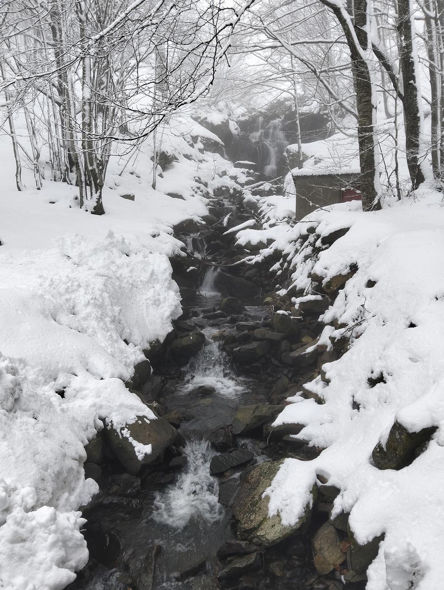 Ciaspolata lago santo - foto 5