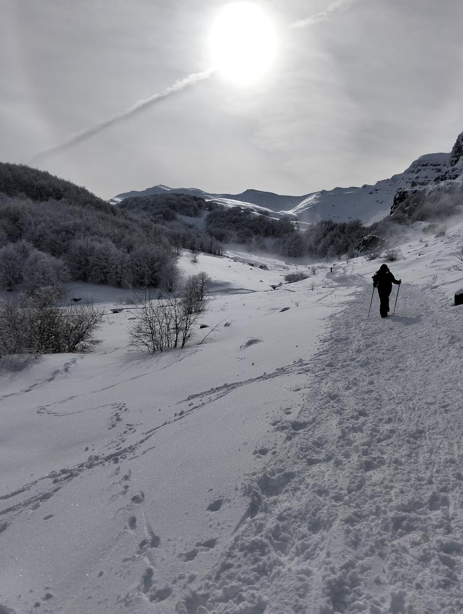 Ciaspolata lago santo - foto 6