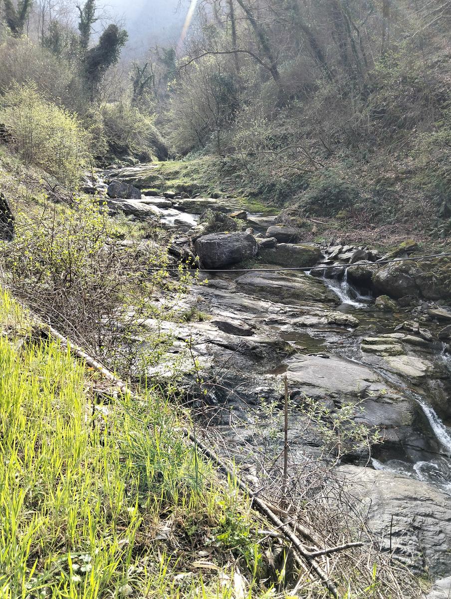Monte Forato Sud, Monte Forato e Foce di Petrosciana da Orzale - foto 6