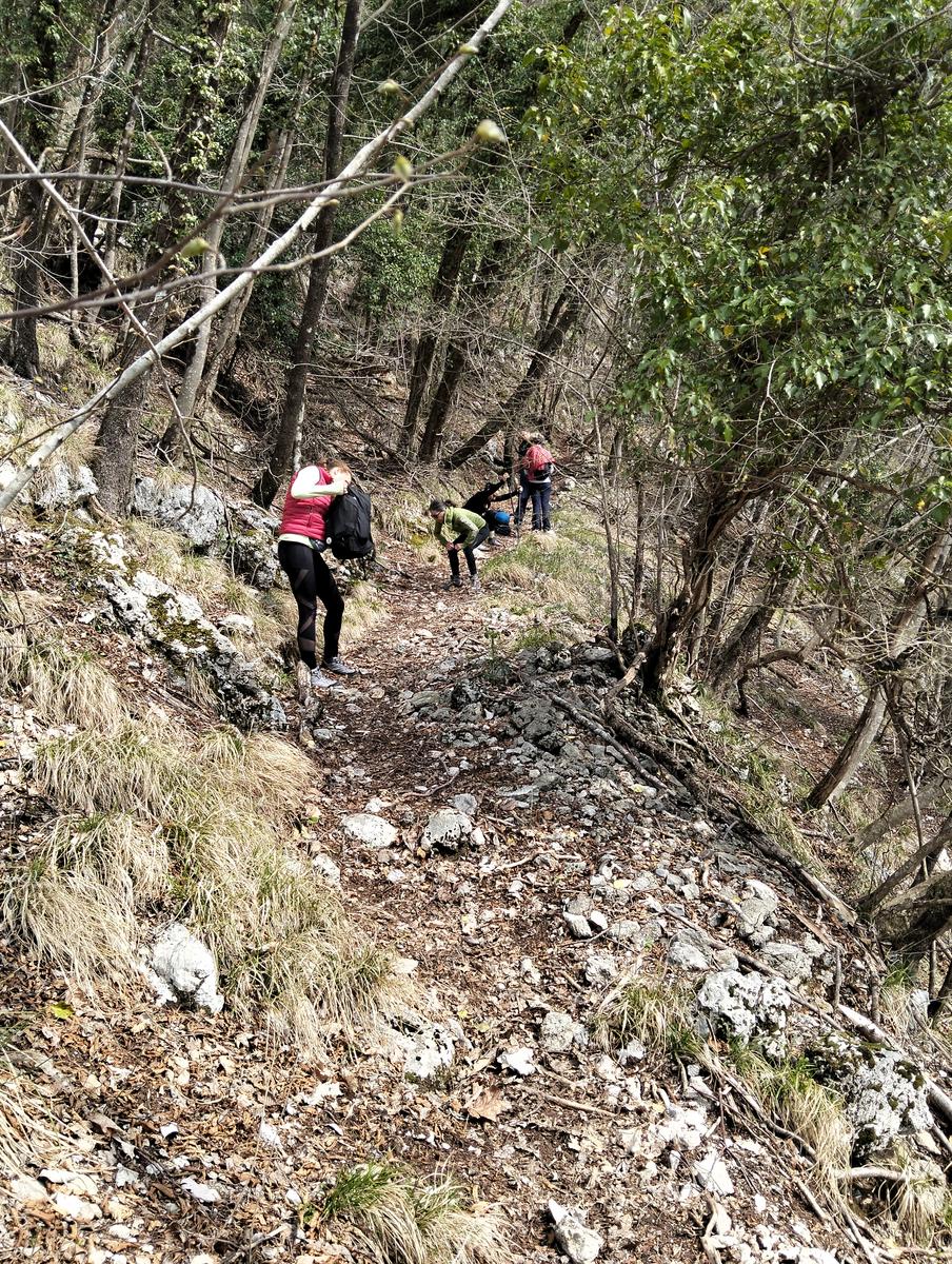 Monte Forato Sud, Monte Forato e Foce di Petrosciana da Orzale - foto 17