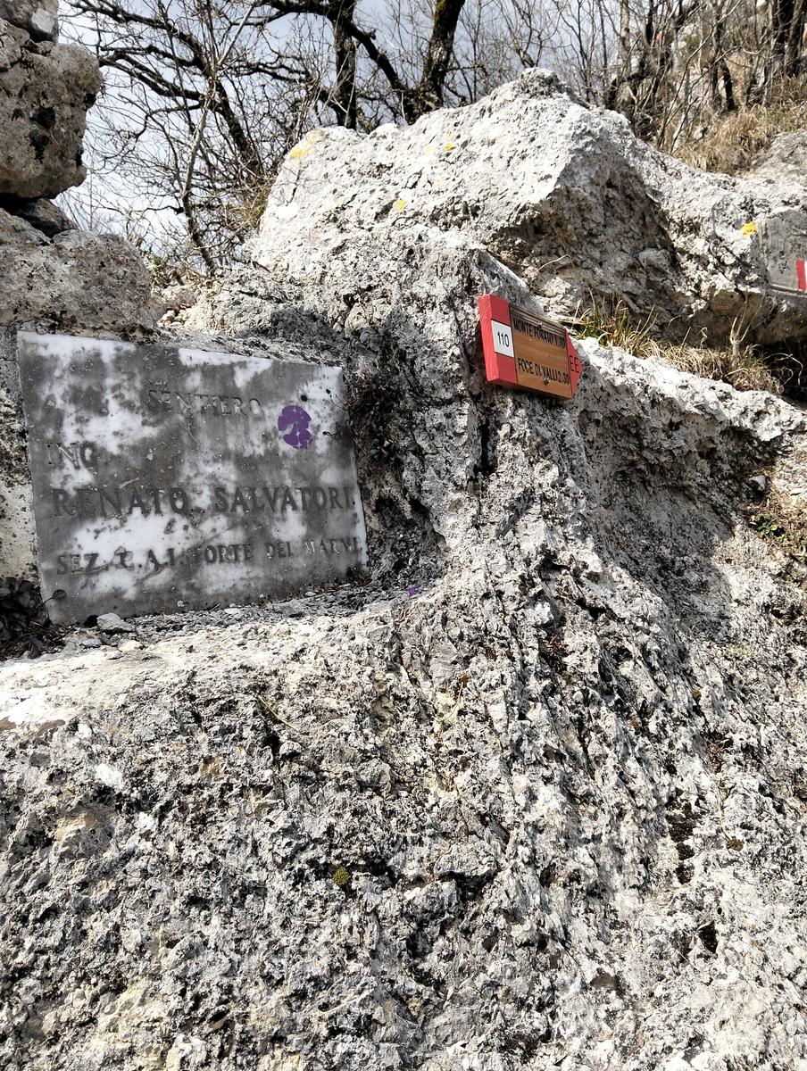 Monte Forato Sud, Monte Forato e Foce di Petrosciana da Orzale - foto 18