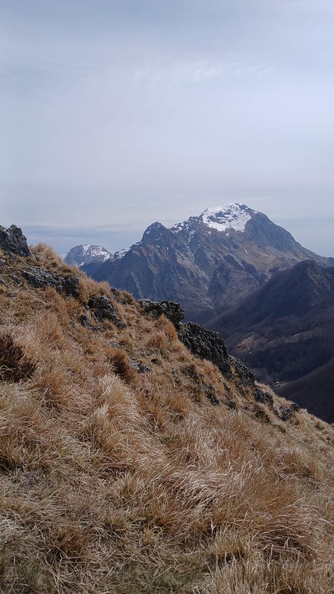 Monte Freddone, Monte Paglino e Passo di Fociomboli da Campagrina - foto 2