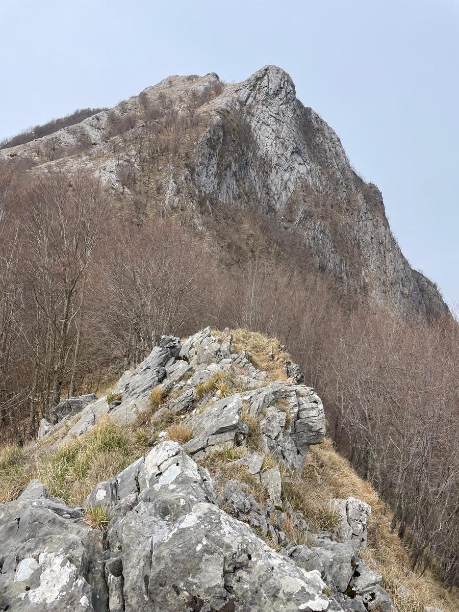 Monte Freddone, Monte Paglino e Passo di Fociomboli da Campagrina - foto 6