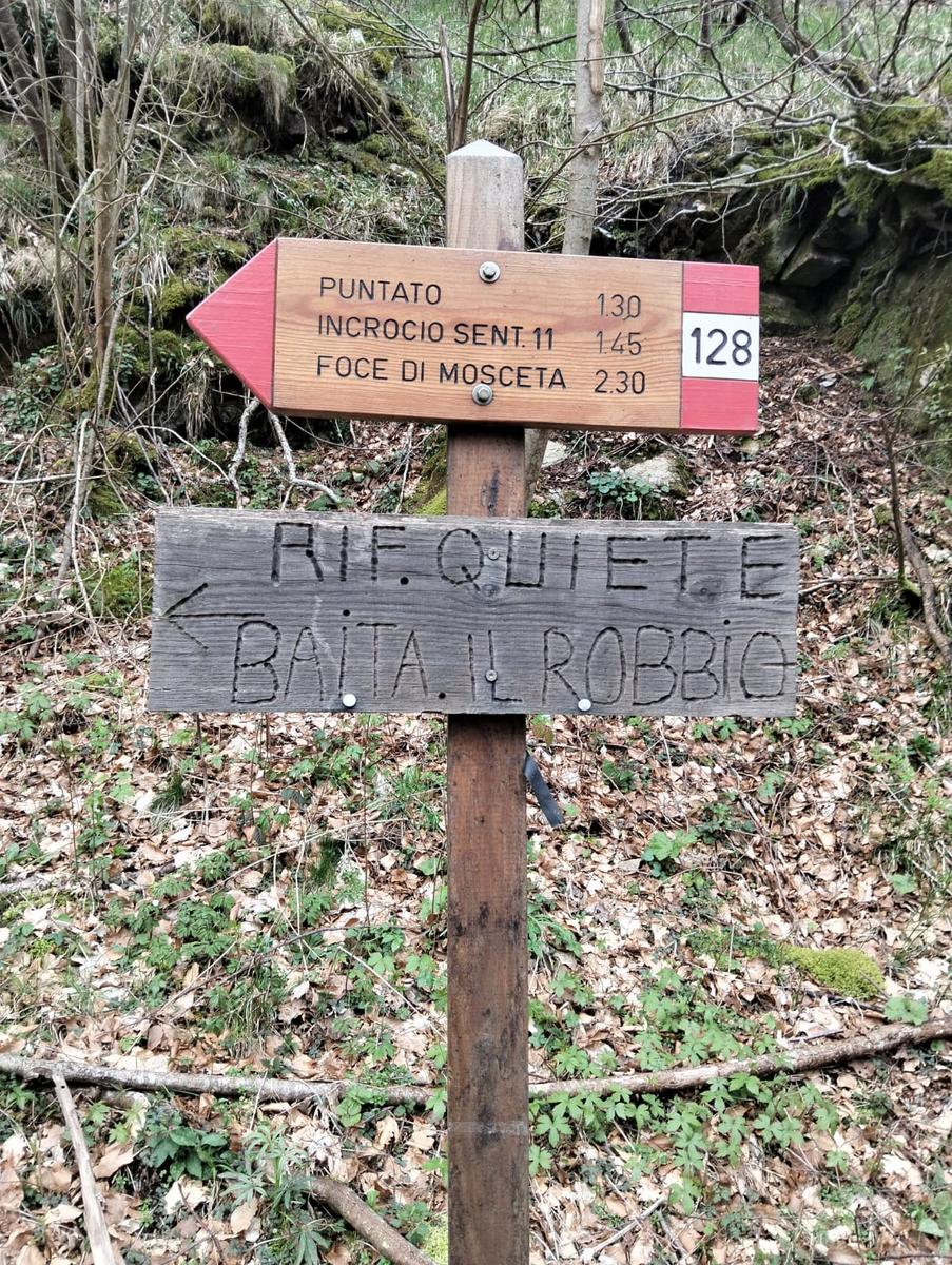 Monte Freddone, Monte Paglino e Passo di Fociomboli da Campagrina - foto 8