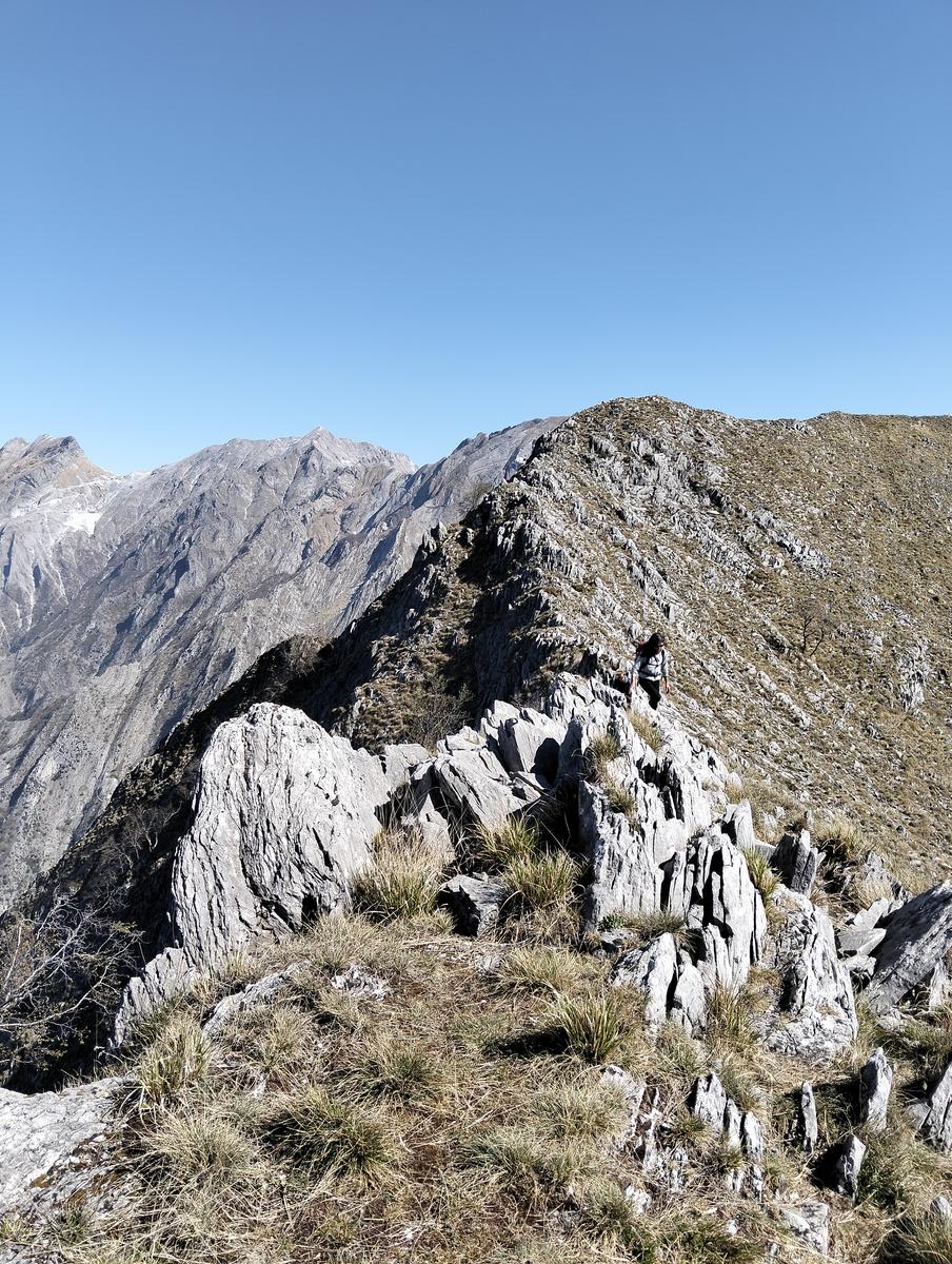 Cresta Valsora, Mote pelato, Foce del Frate, Passo degli Uncini e Monte Altissimo da Gronda