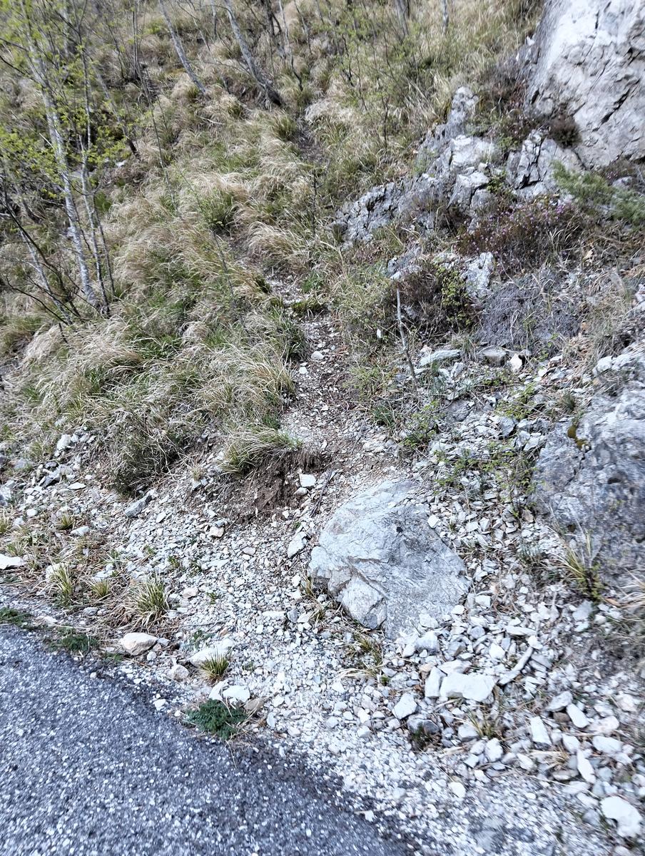 Cresta Valsora, Mote pelato, Foce del Frate, Passo degli Uncini e Monte Altissimo da Gronda - foto 2