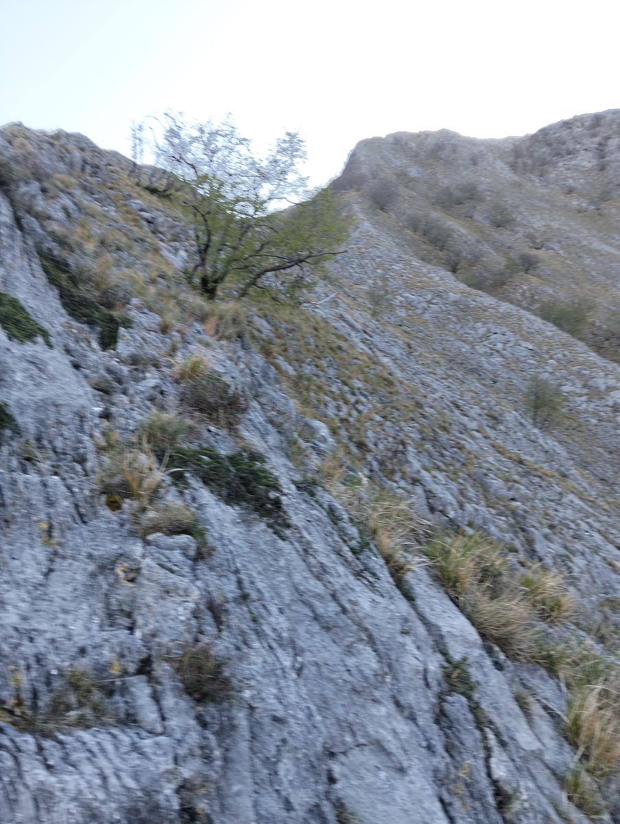 Cresta Valsora, Mote pelato, Foce del Frate, Passo degli Uncini e Monte Altissimo da Gronda - foto 3