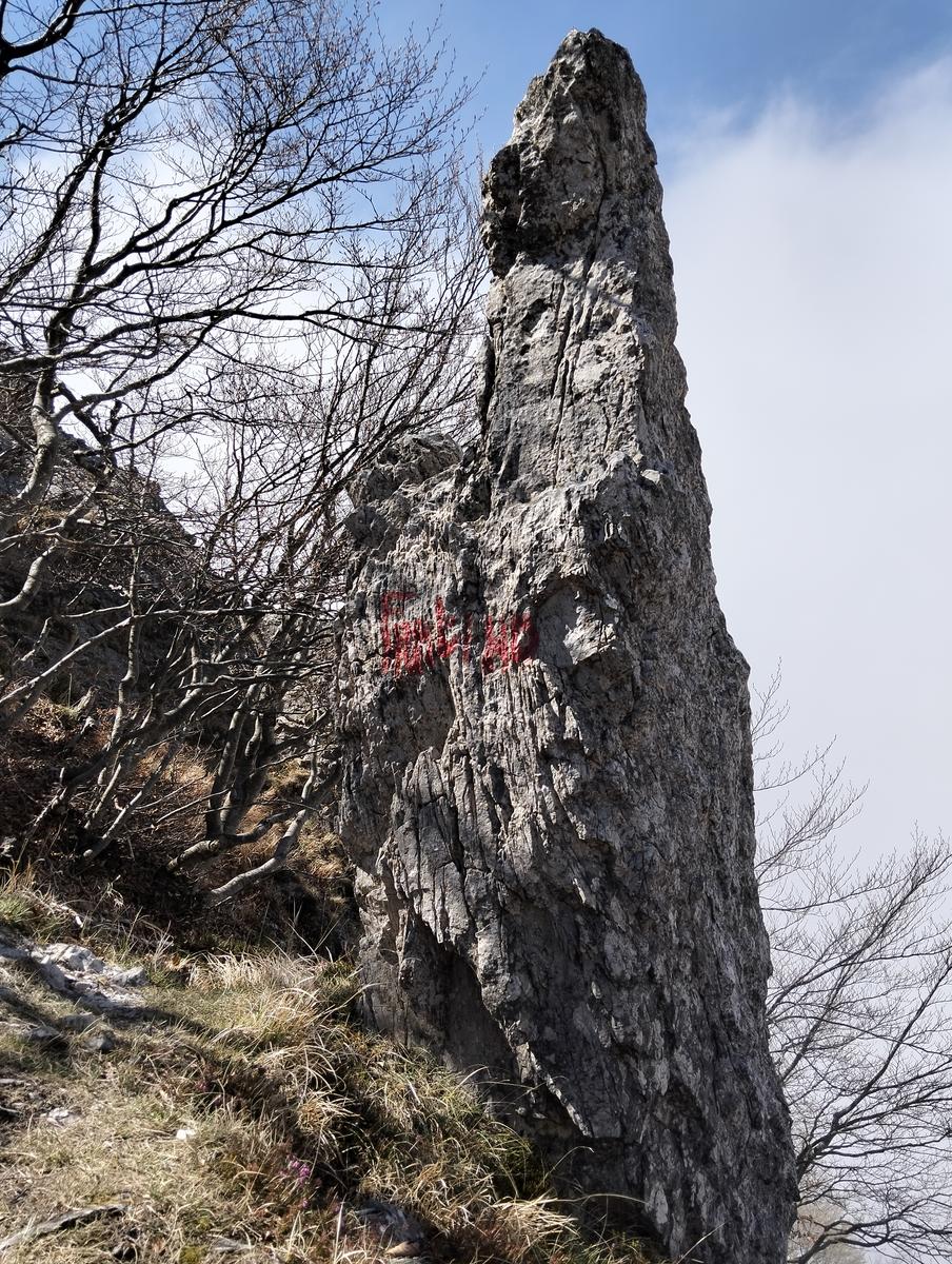 Cresta Valsora, Mote pelato, Foce del Frate, Passo degli Uncini e Monte Altissimo da Gronda - foto 4