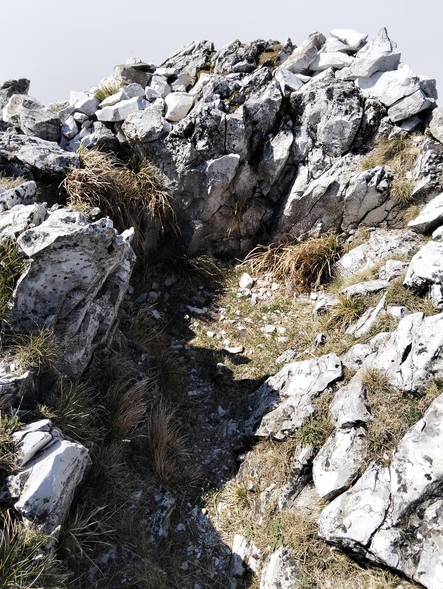 Cresta Valsora, Mote pelato, Foce del Frate, Passo degli Uncini e Monte Altissimo da Gronda - foto 5