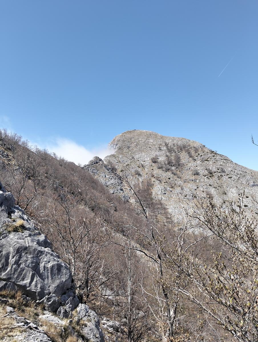 Cresta Valsora, Mote pelato, Foce del Frate, Passo degli Uncini e Monte Altissimo da Gronda - foto 11
