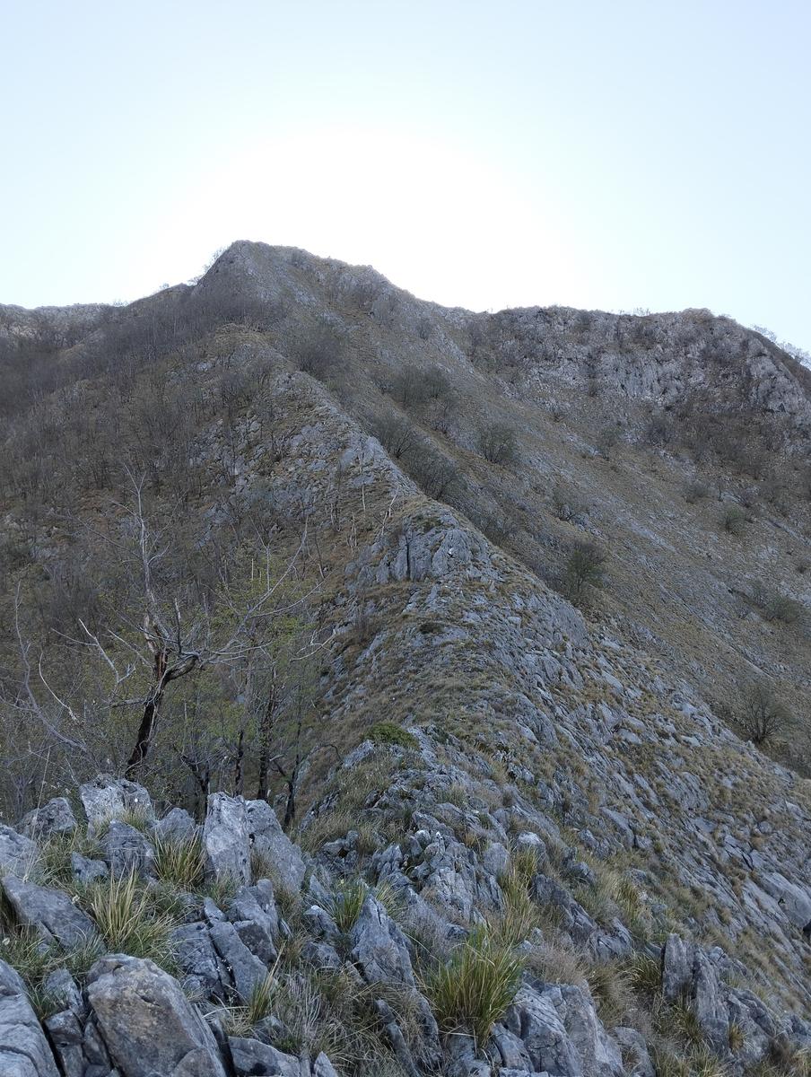Cresta Valsora, Mote pelato, Foce del Frate, Passo degli Uncini e Monte Altissimo da Gronda - foto 12