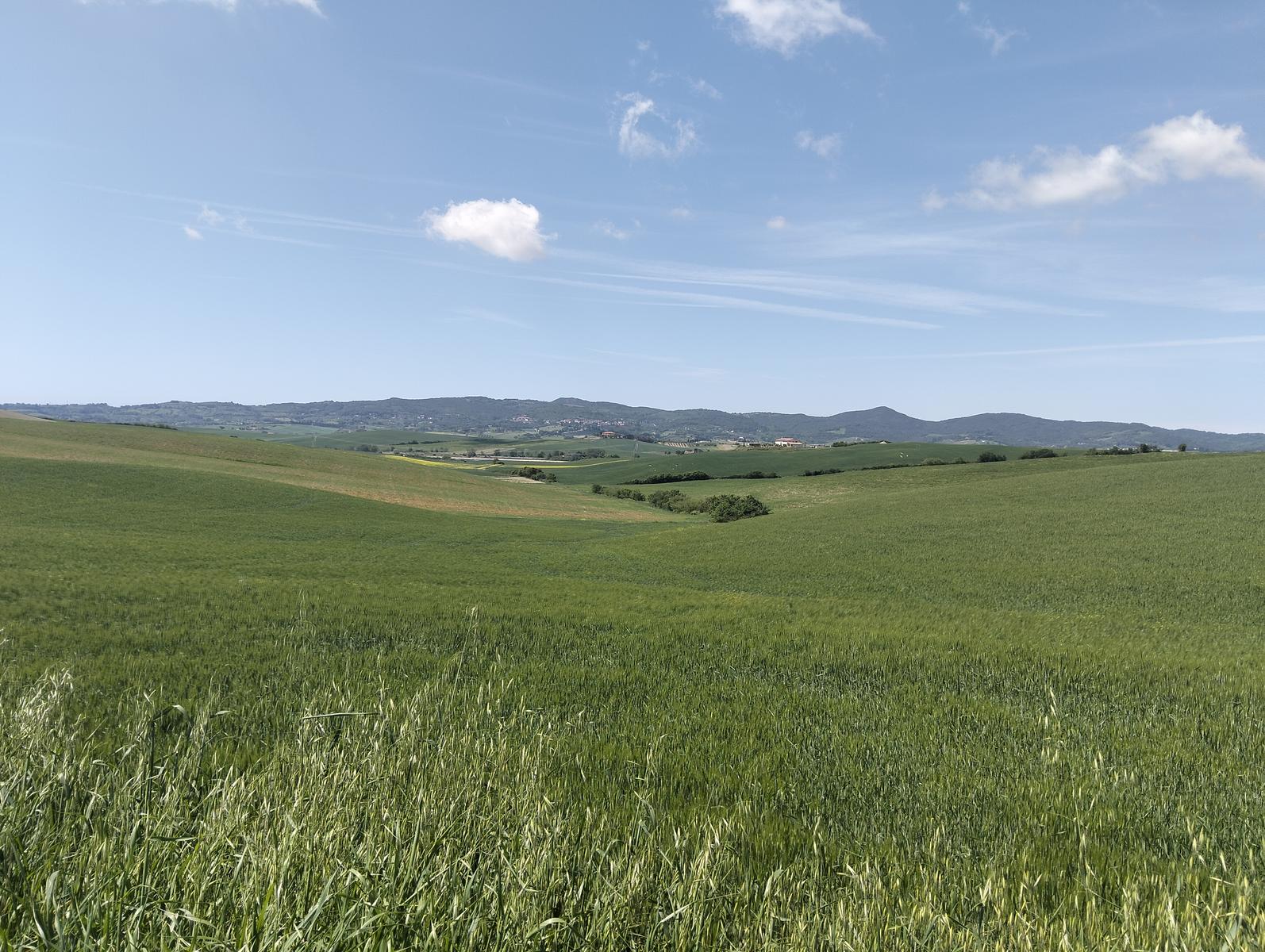 Lago di Santa Luca: Escursione da Pieve di Santa Luce.