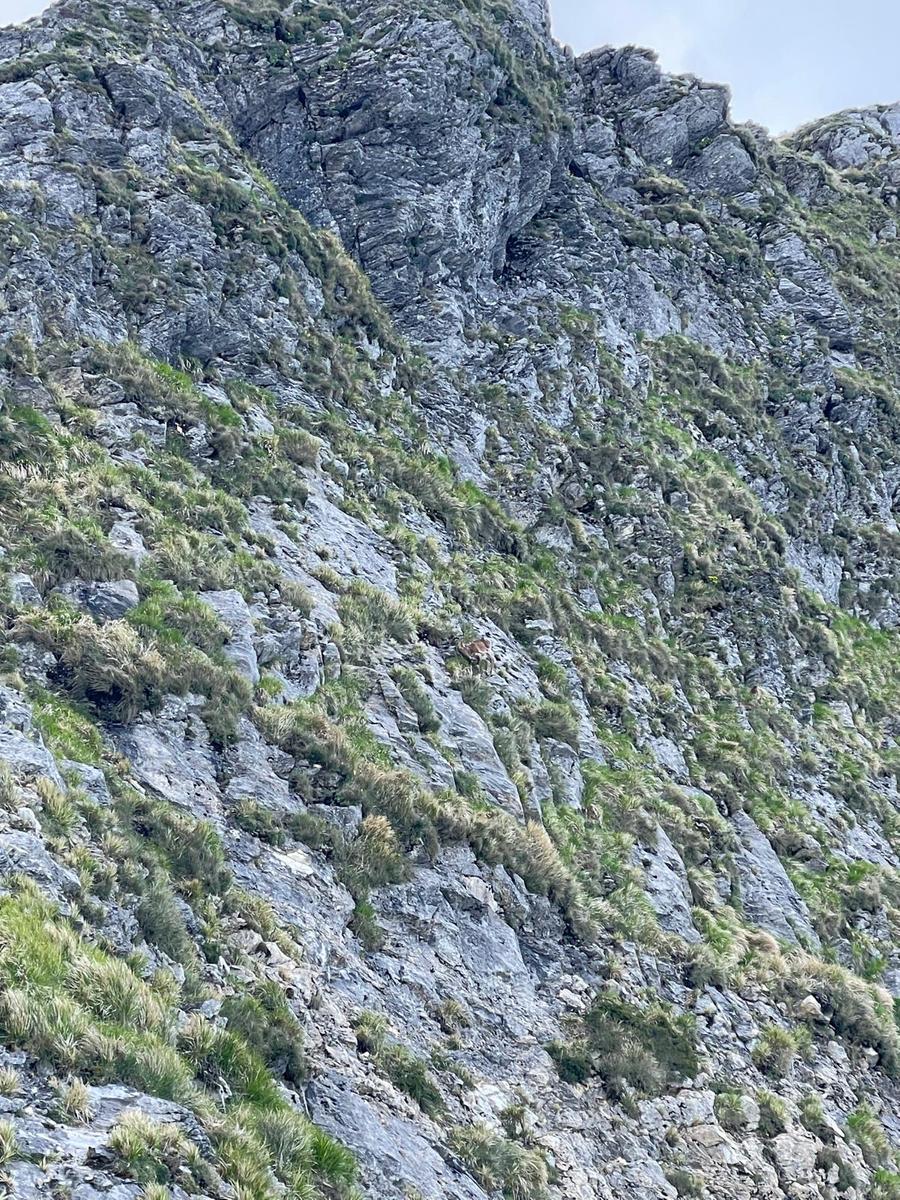 Monte Corchia: escursione anello da Passo Croce (Guglie, ...