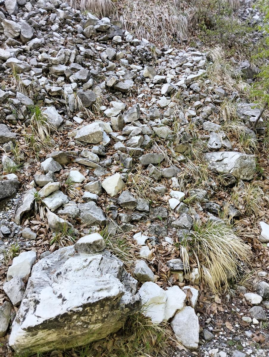 Monte Corchia: escursione anello da Passo Croce (Guglie, ...