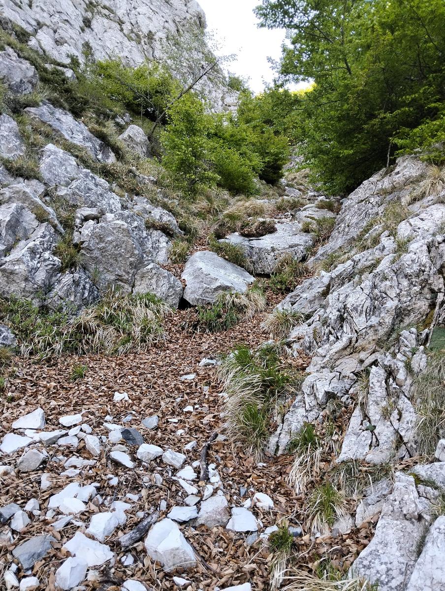 Monte Corchia: escursione anello da Passo Croce (Guglie, ...